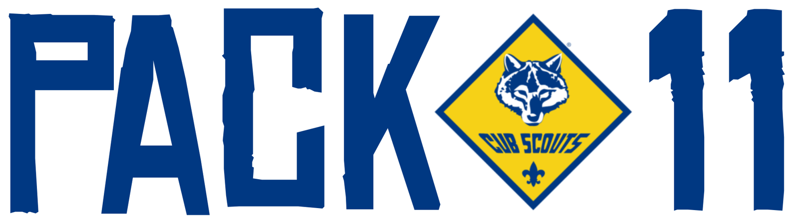 Pack 11 Cub Scouts Raleigh